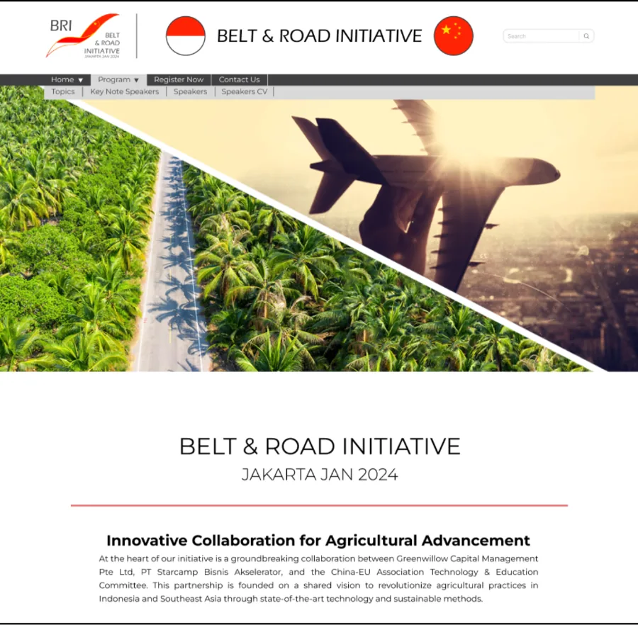 Belt & Road Initiative Summit Website Banner